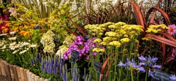 Truro takes pride in its beautiful parks, gardens and open spaces so to celebrate this, the Garden Truro festival co-ordinated by Truro City Council and supported by Totally Truro BID, is returning for a third year.