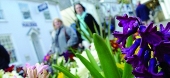 accessibility, disability support, exploring truro