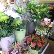 Celtic Flowers