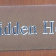 Hidden Hearing
