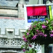 The Lane Gallery
