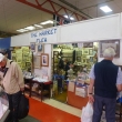 The Market Flea