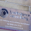 Trial Balance Consulting